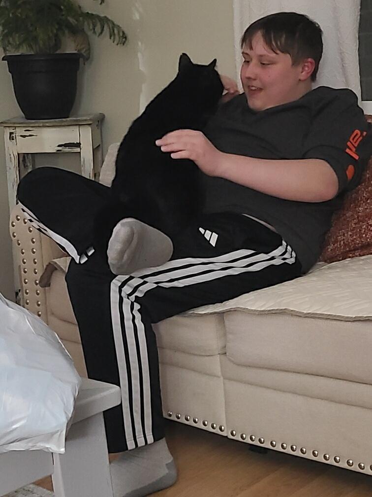 Enlarge Cosmos, an adopted mixed breed in Gladwin, MI image 6/6