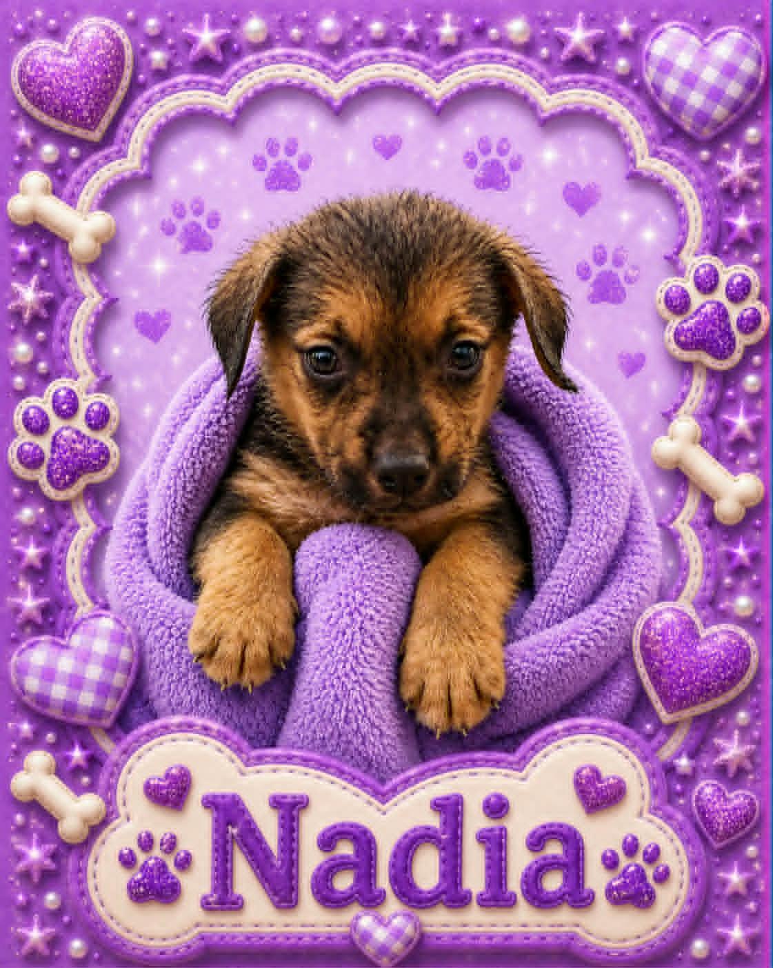 Enlarge Nadia, a ADOPTABLE mixed breed in Bowie, TX image 1/1