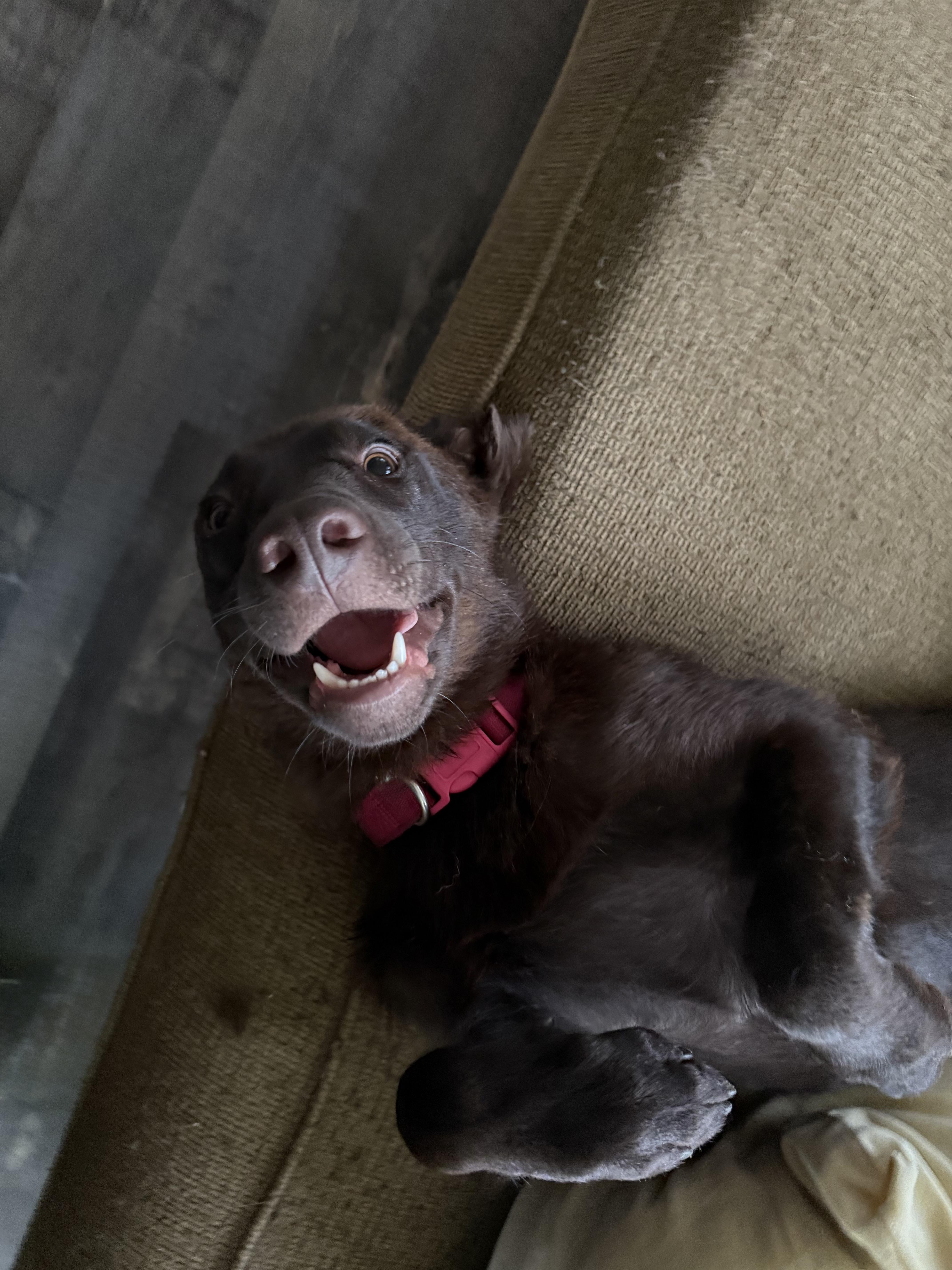 Wilbur