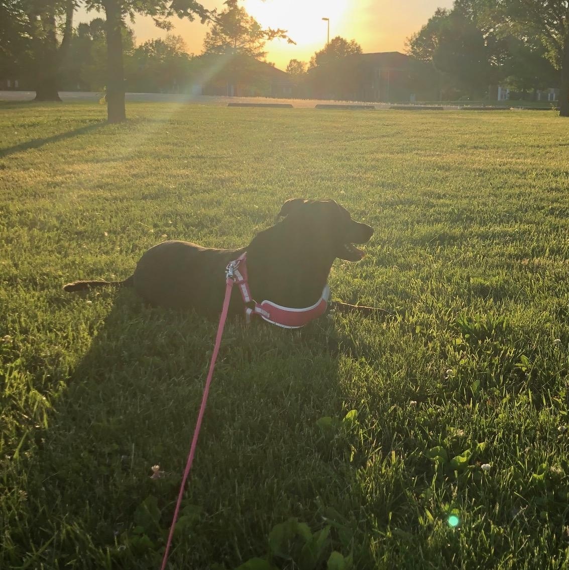 Summer Jo -- Courtesy Post