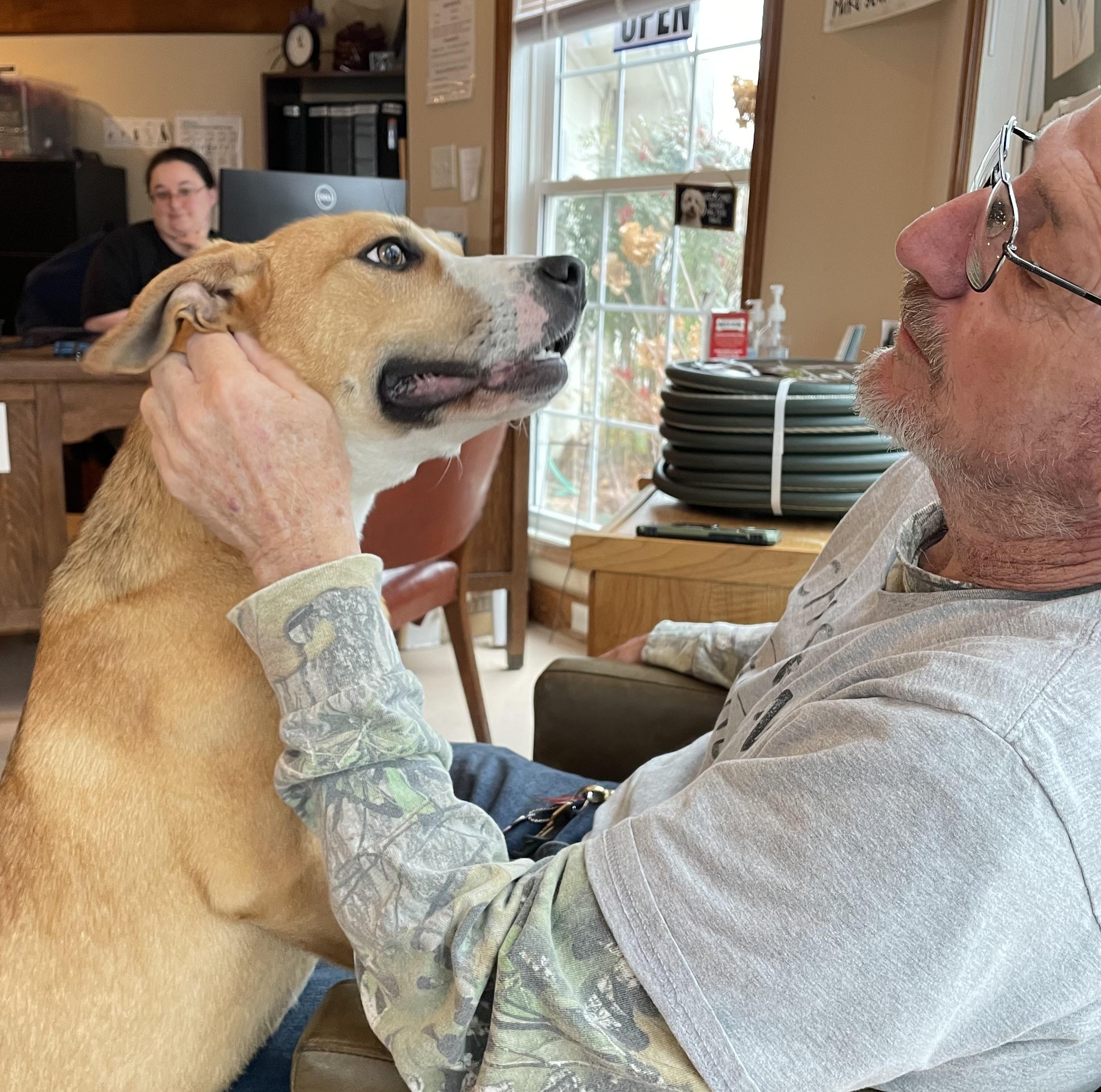 Sona, an adopted mixed breed in Heathsville, VA image 2/6