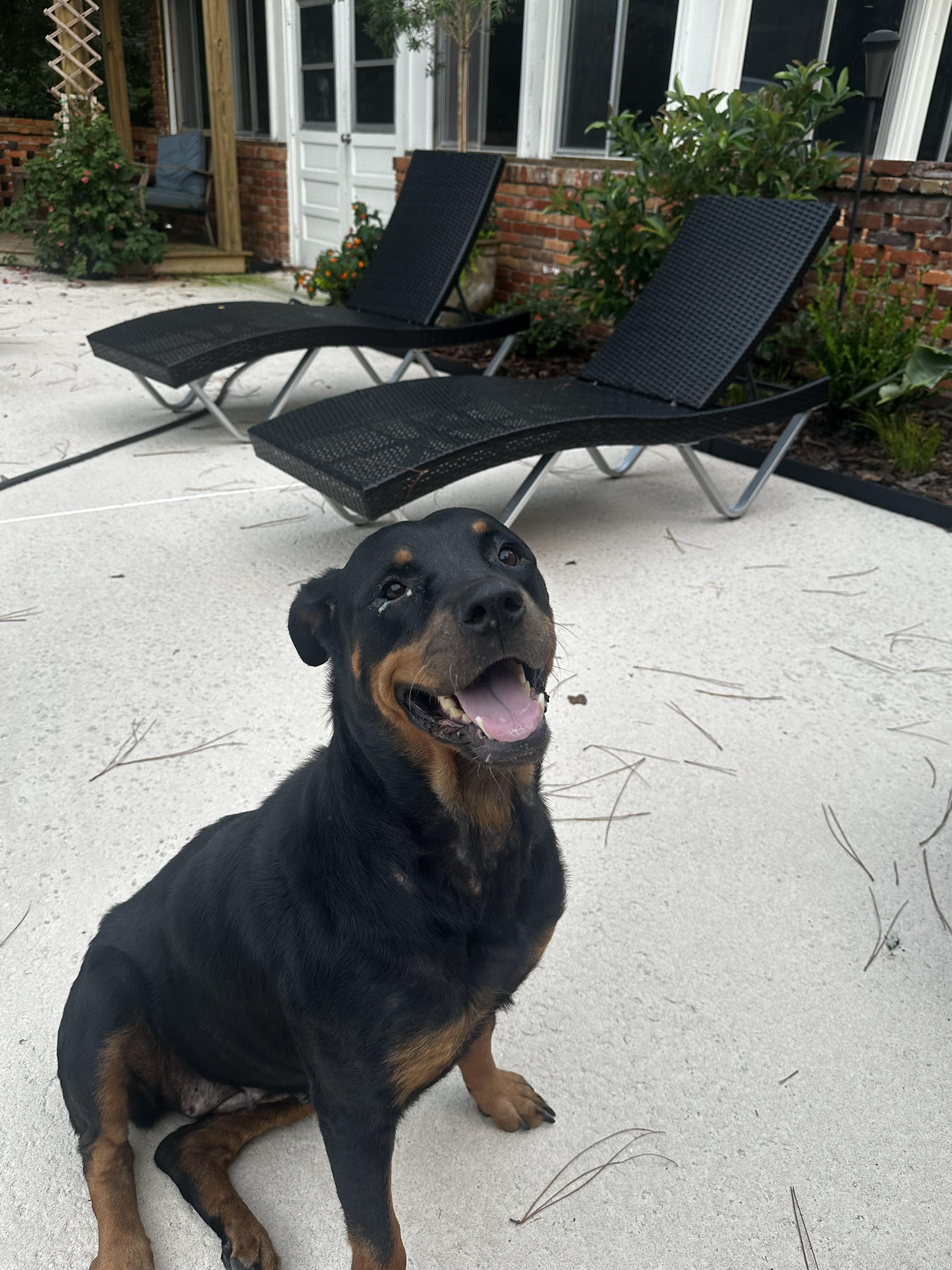Josie photo 2