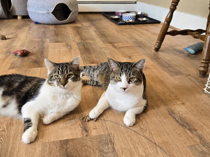 Bobbie - One of the Guys