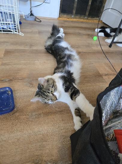 Bobbie - One of the Guys