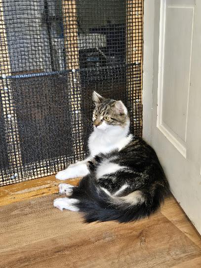 Bobbie - One of the Guys