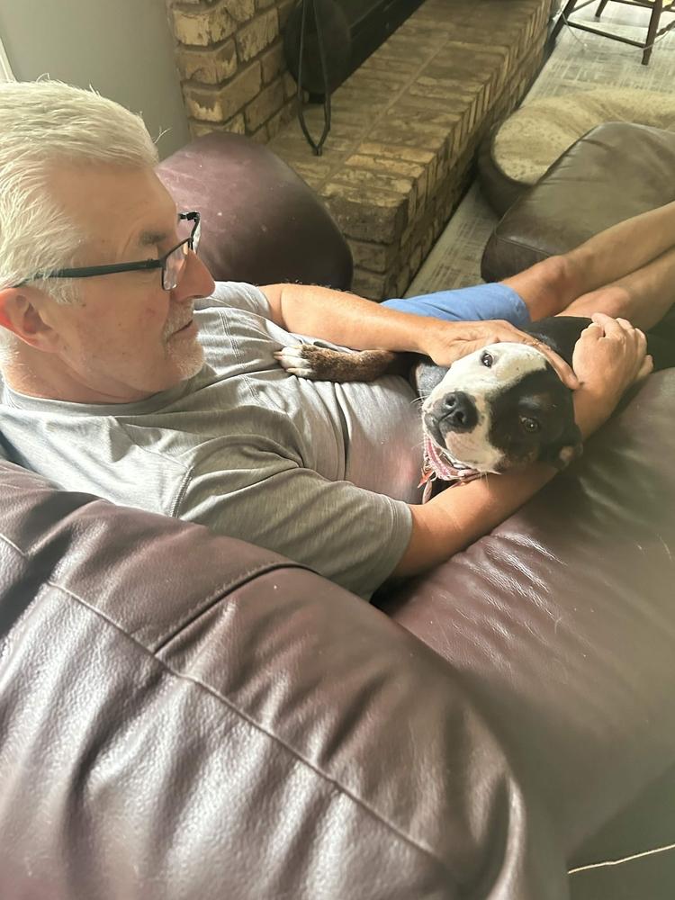 Enlarge Molly, a Adoptable mixed breed in Grand Rapids, MI image 1/6