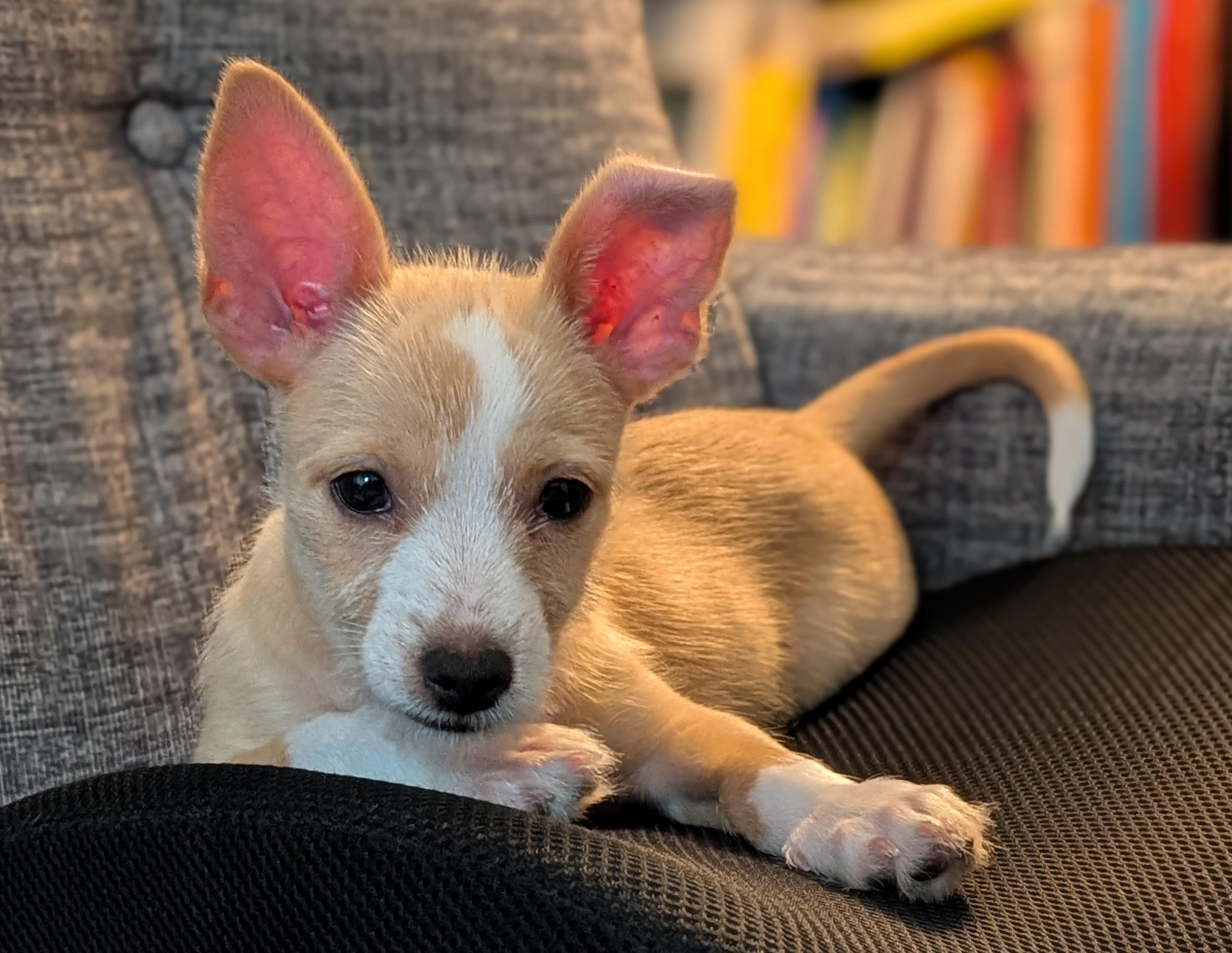 Tinker