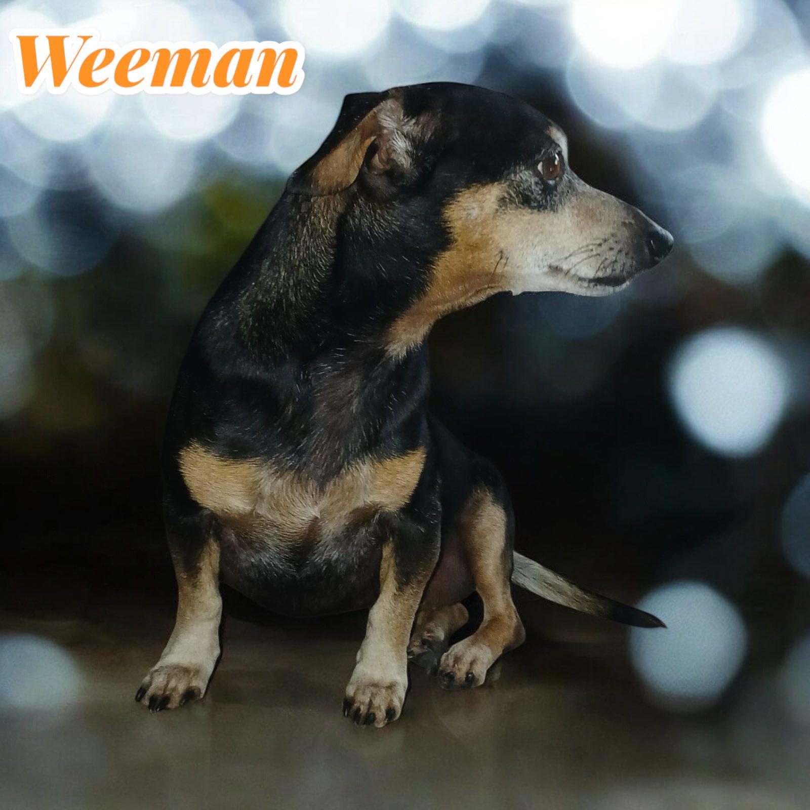 Weeman photo 4