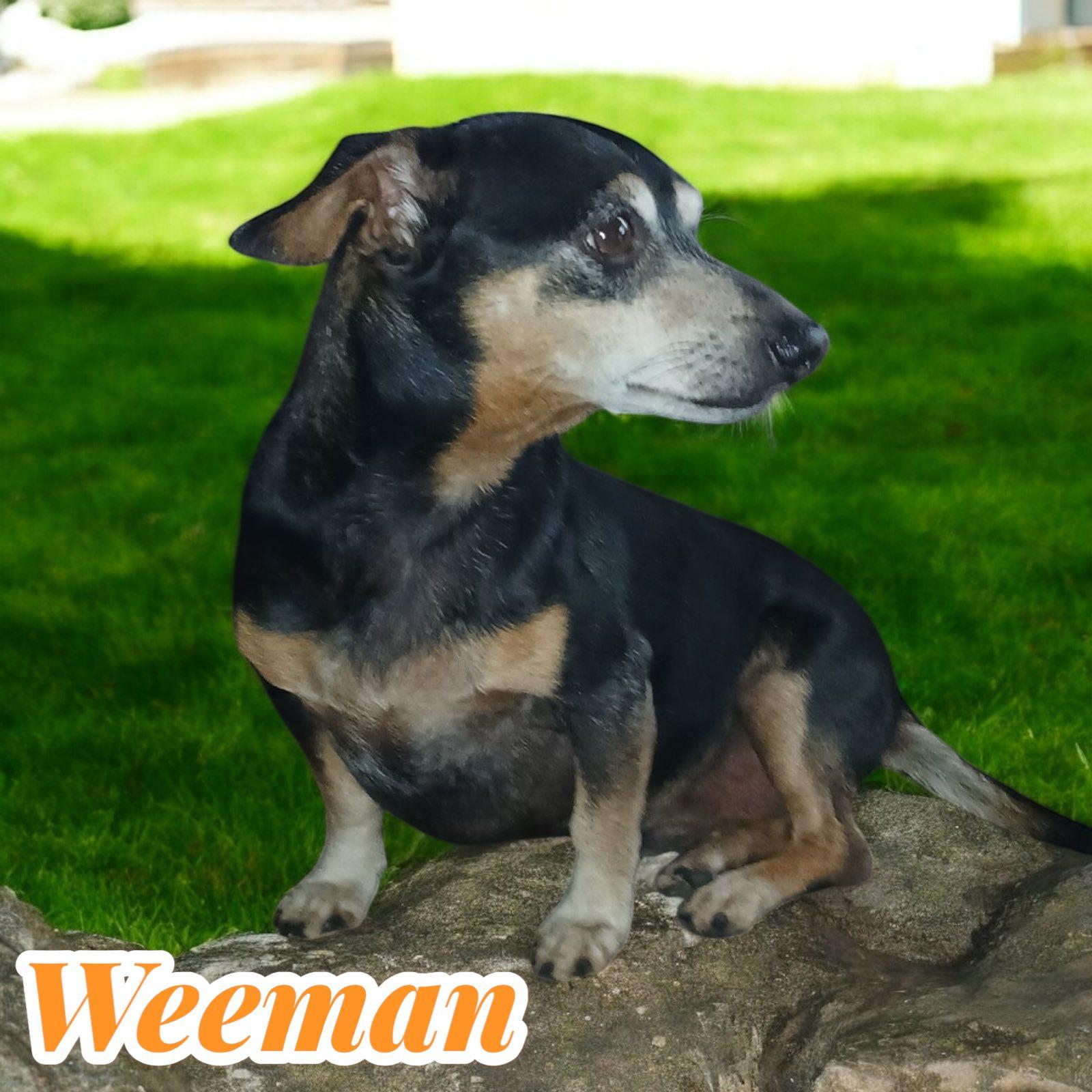 Weeman photo 5