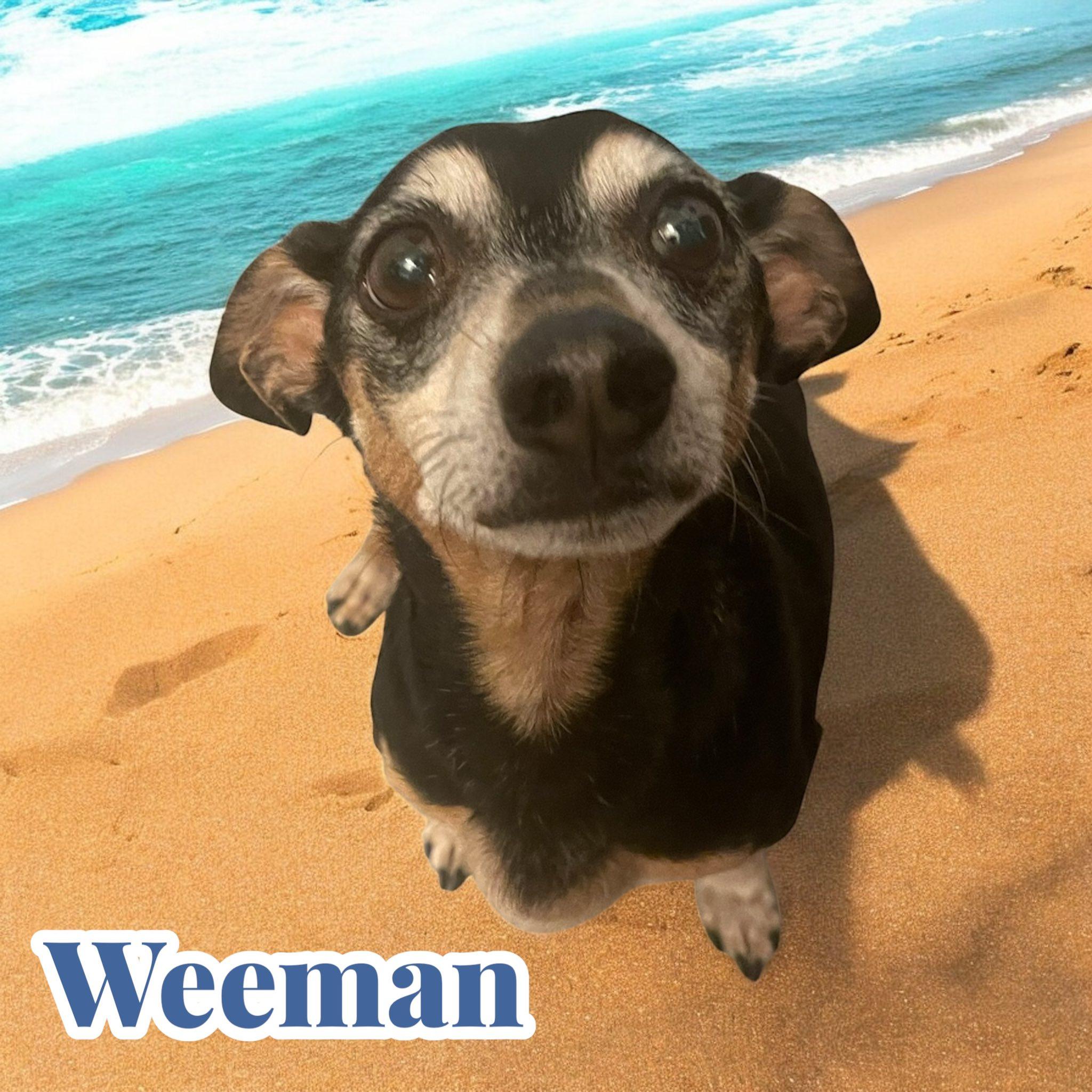 Weeman photo 2