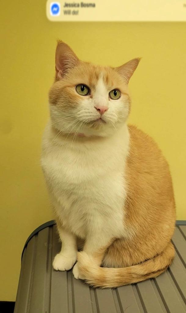 BABY — thumbnail 2