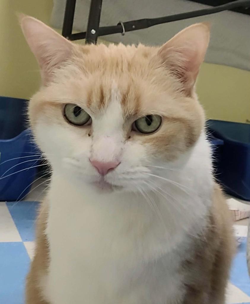 BABY — thumbnail 6