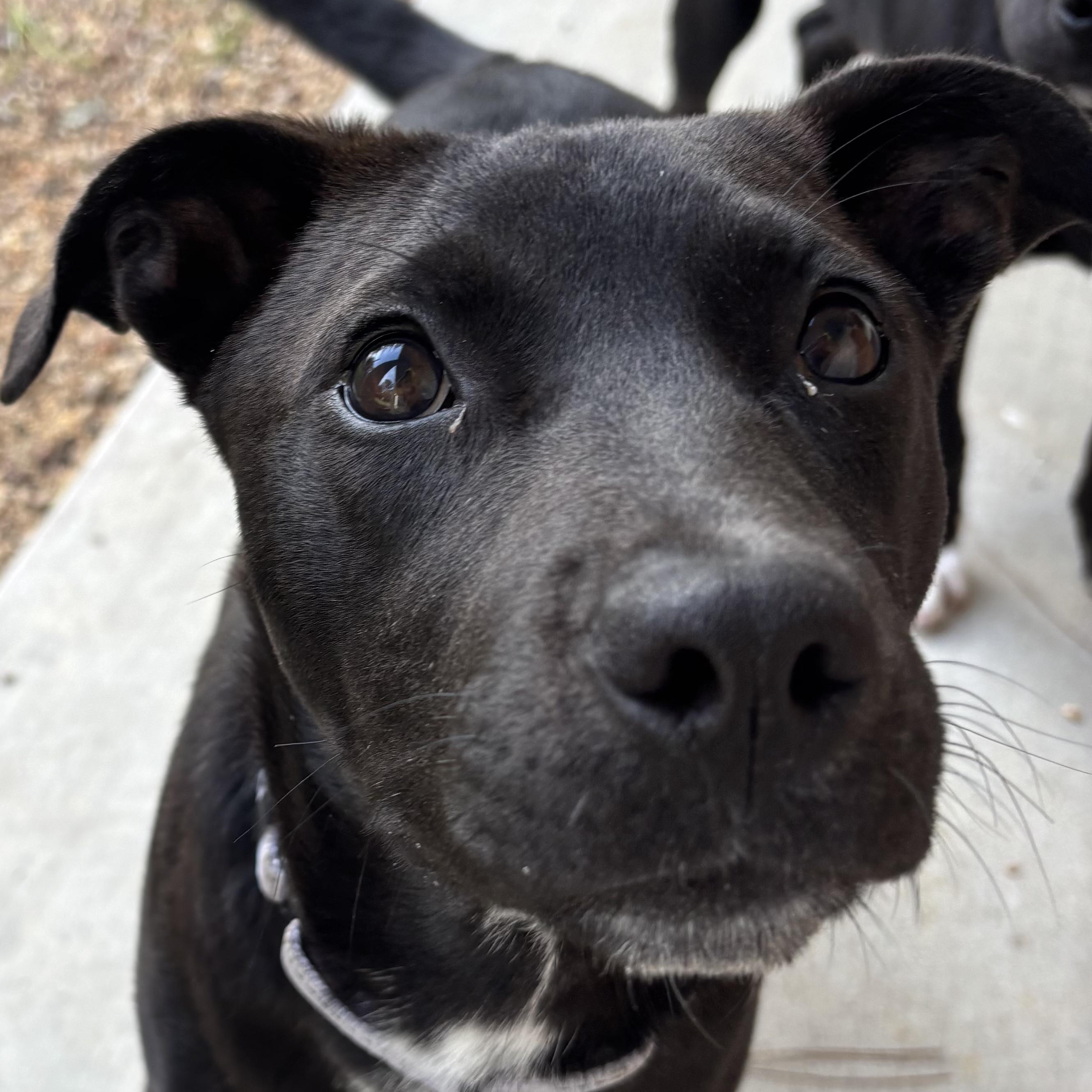 Patsy Cline — thumbnail 2