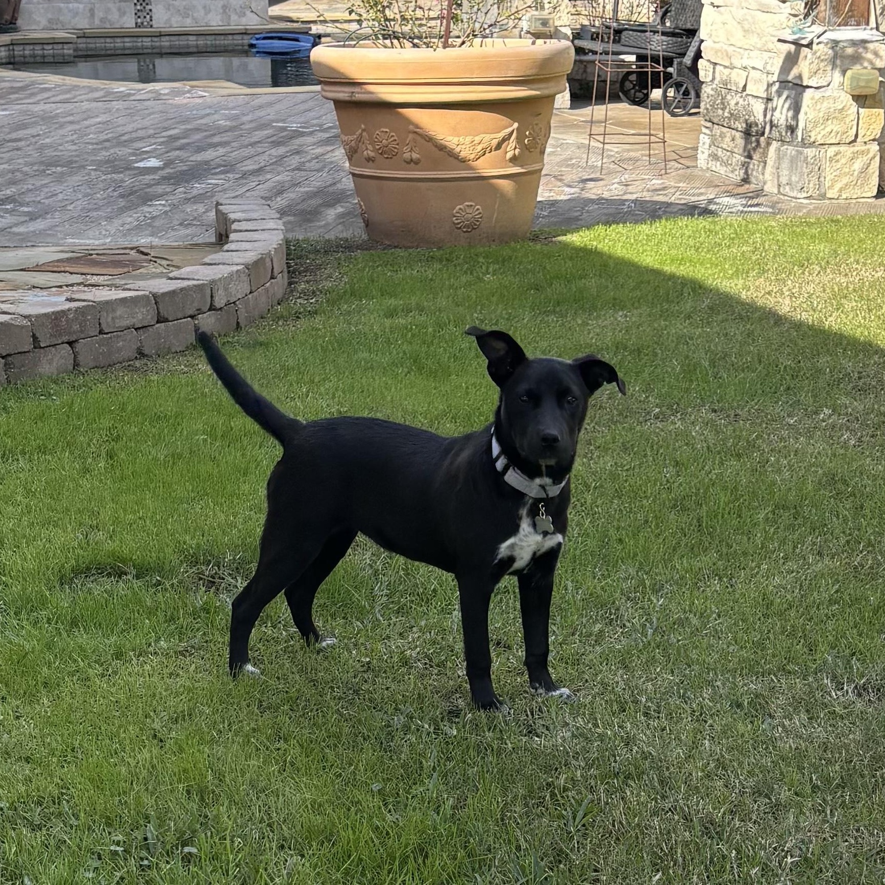 Patsy Cline — thumbnail 3