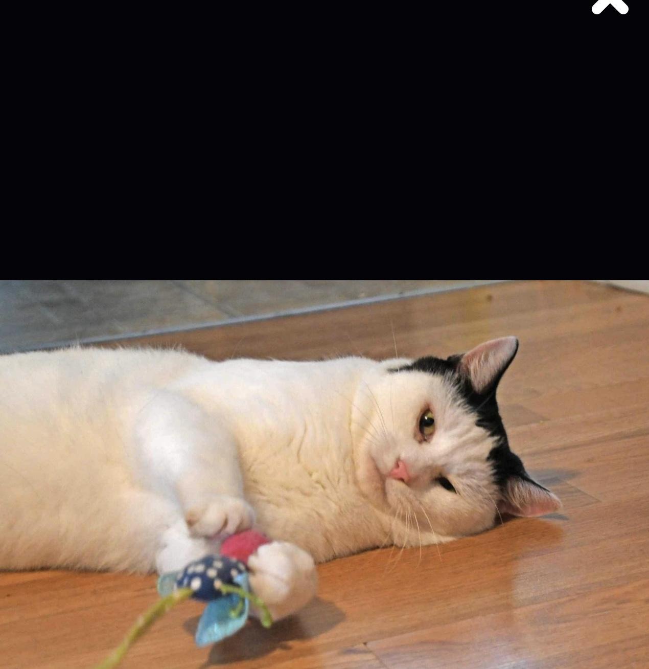 Edward with the bad haircut and his best friend Lance