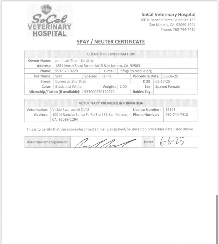 Enlarge Suki, a Adoptable mixed breed in San Jacinto, CA image 2/4