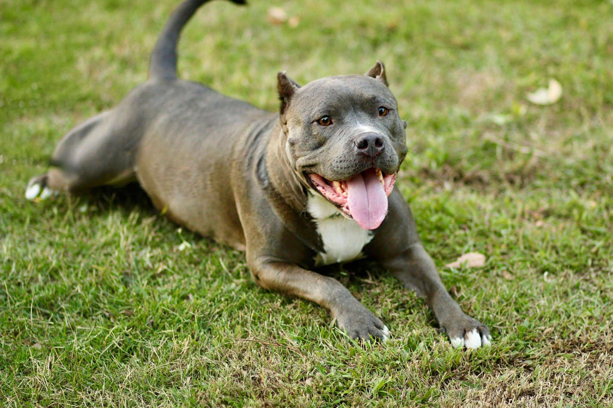 Xena