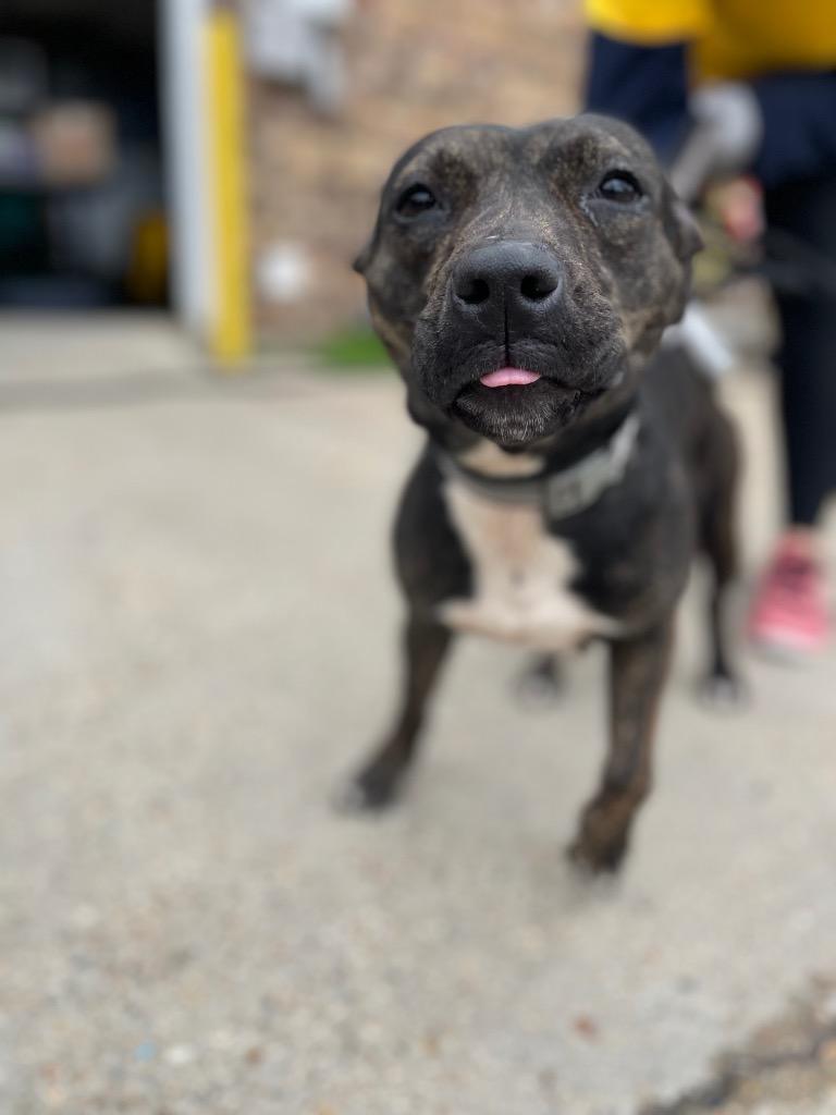 Ellie