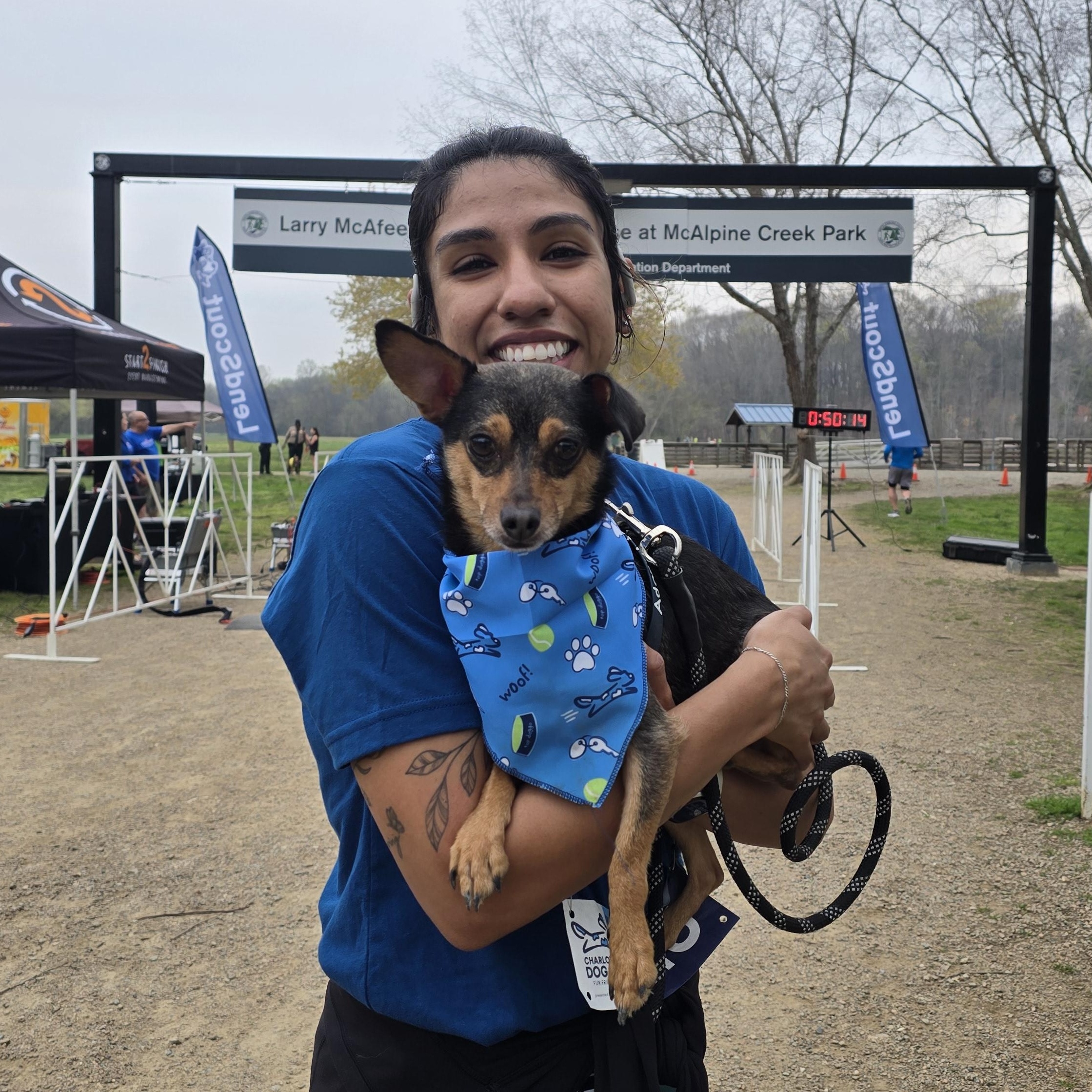 Enlarge Gordon , a ADOPTABLE mixed breed in Charlotte, NC image 2/6