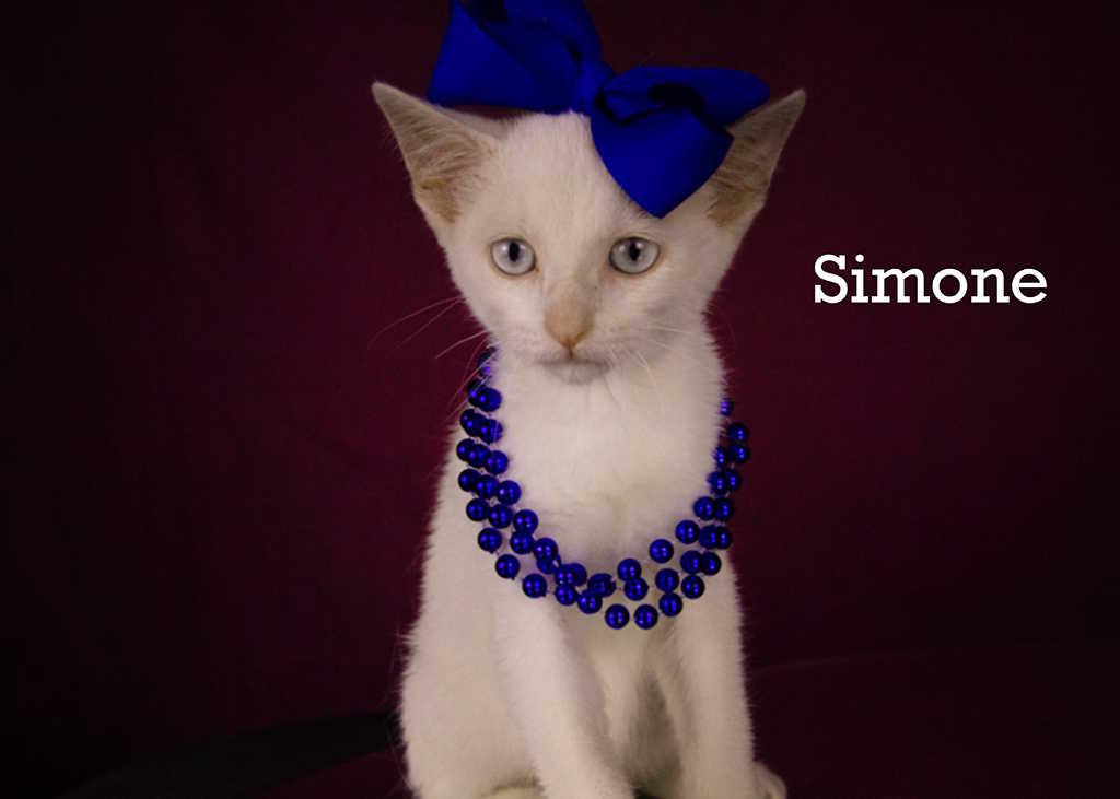Simone