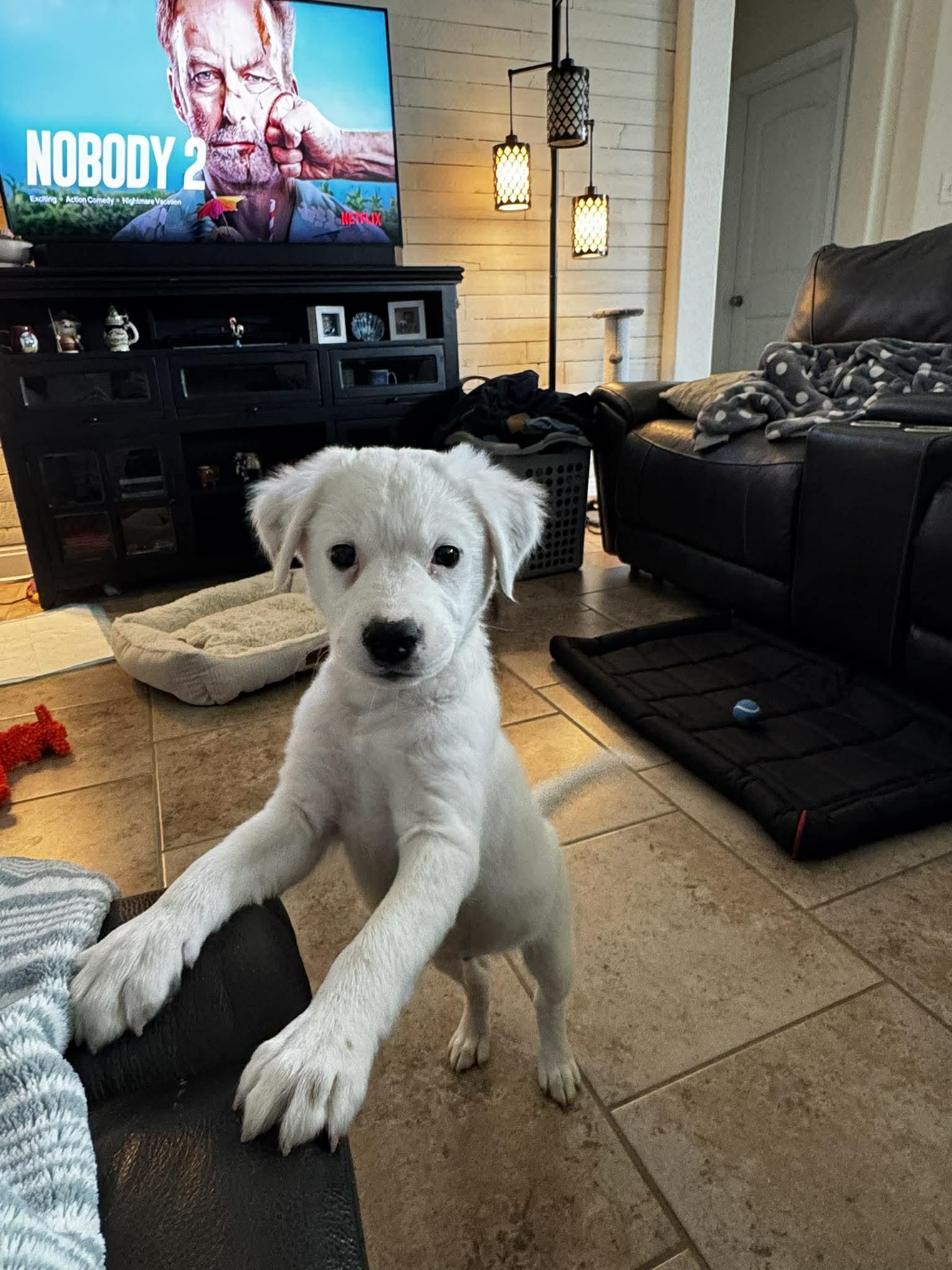 Dennis — thumbnail 5