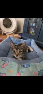 Bitsy