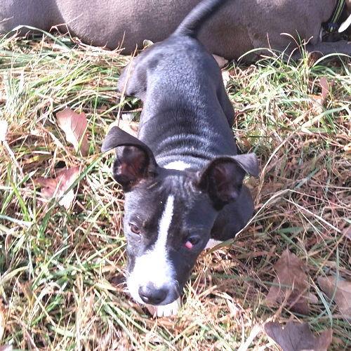 Princess thumbnail 3