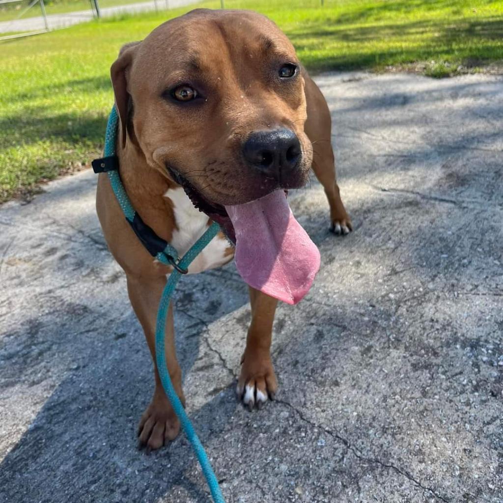 Bones — thumbnail 2