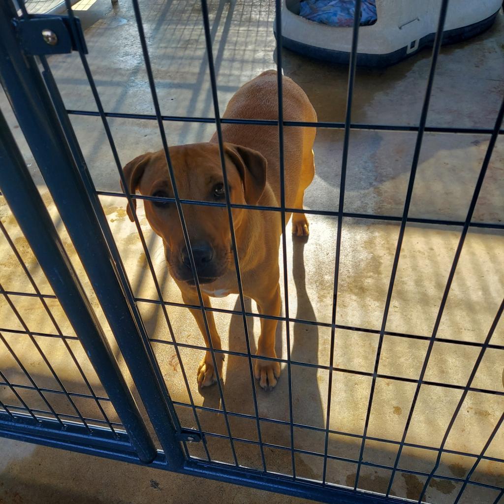 Bones — thumbnail 3