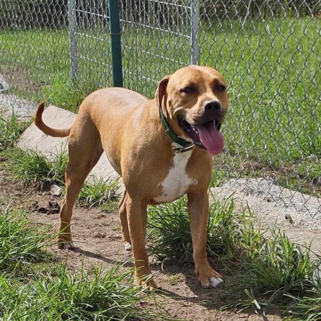 Bones — thumbnail 4