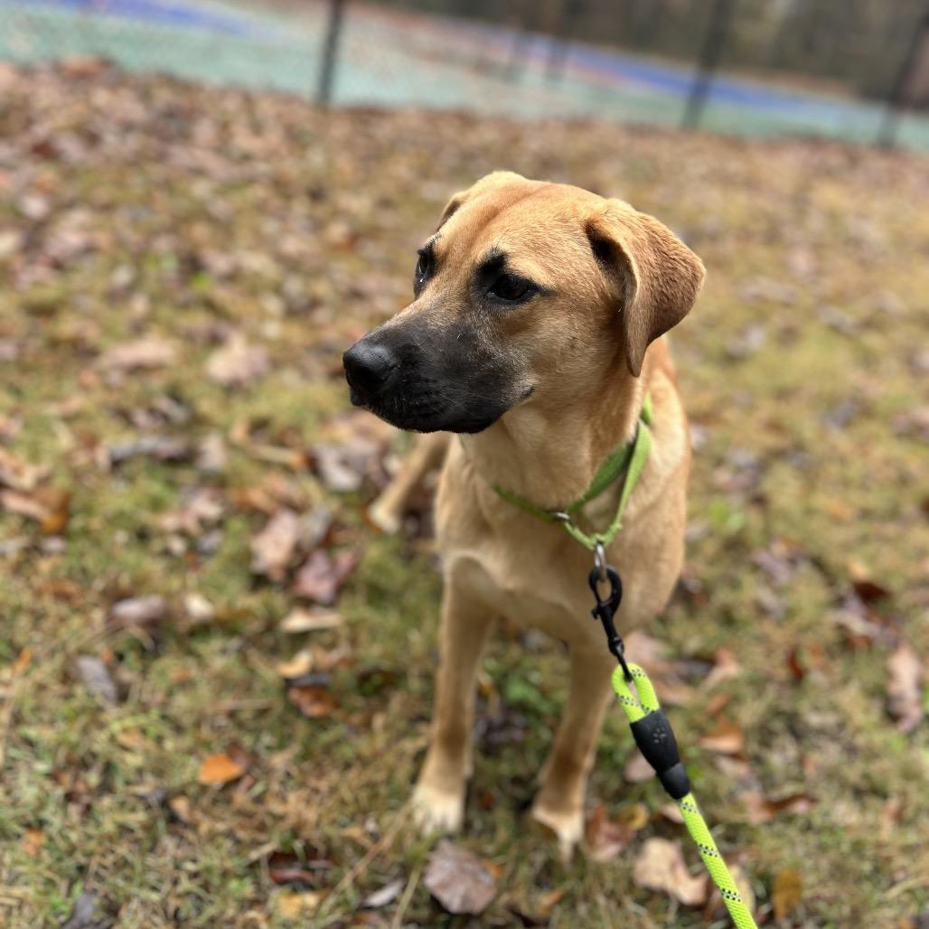 Gigi — thumbnail 2