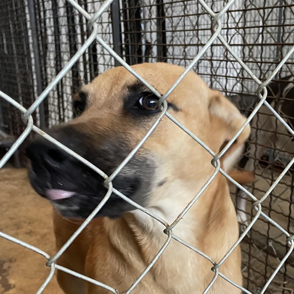 Gigi — thumbnail 6