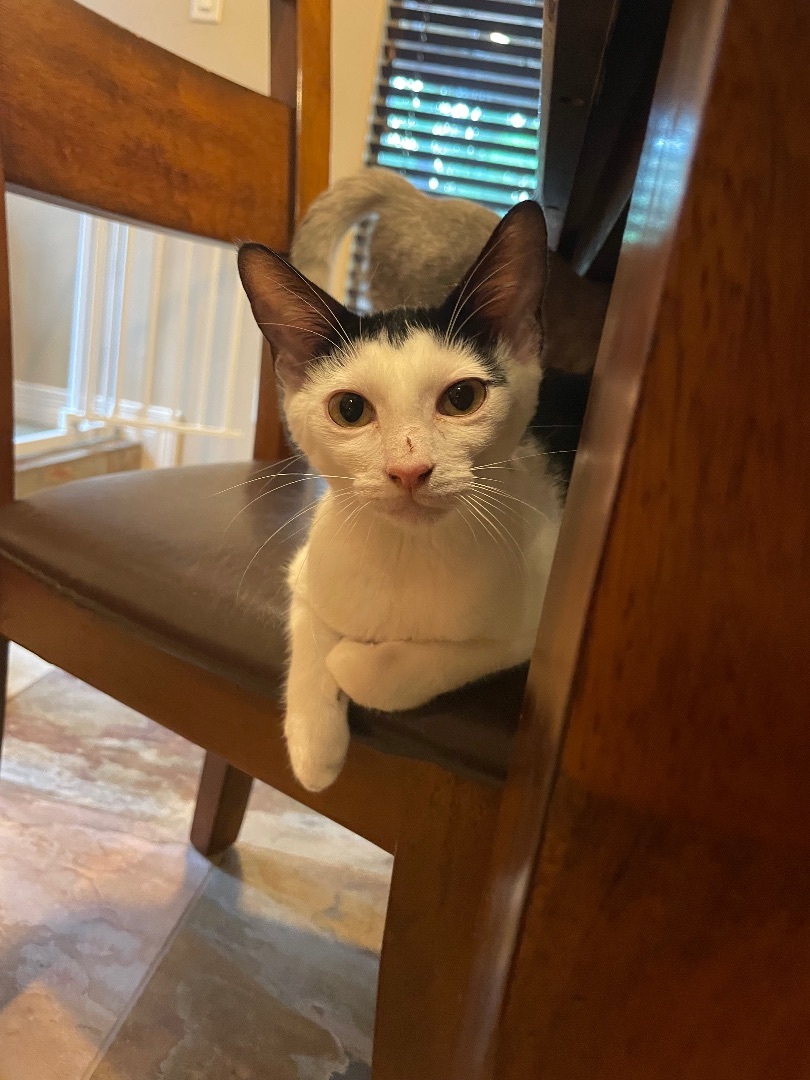 Edna - Foster Home CC — thumbnail 3