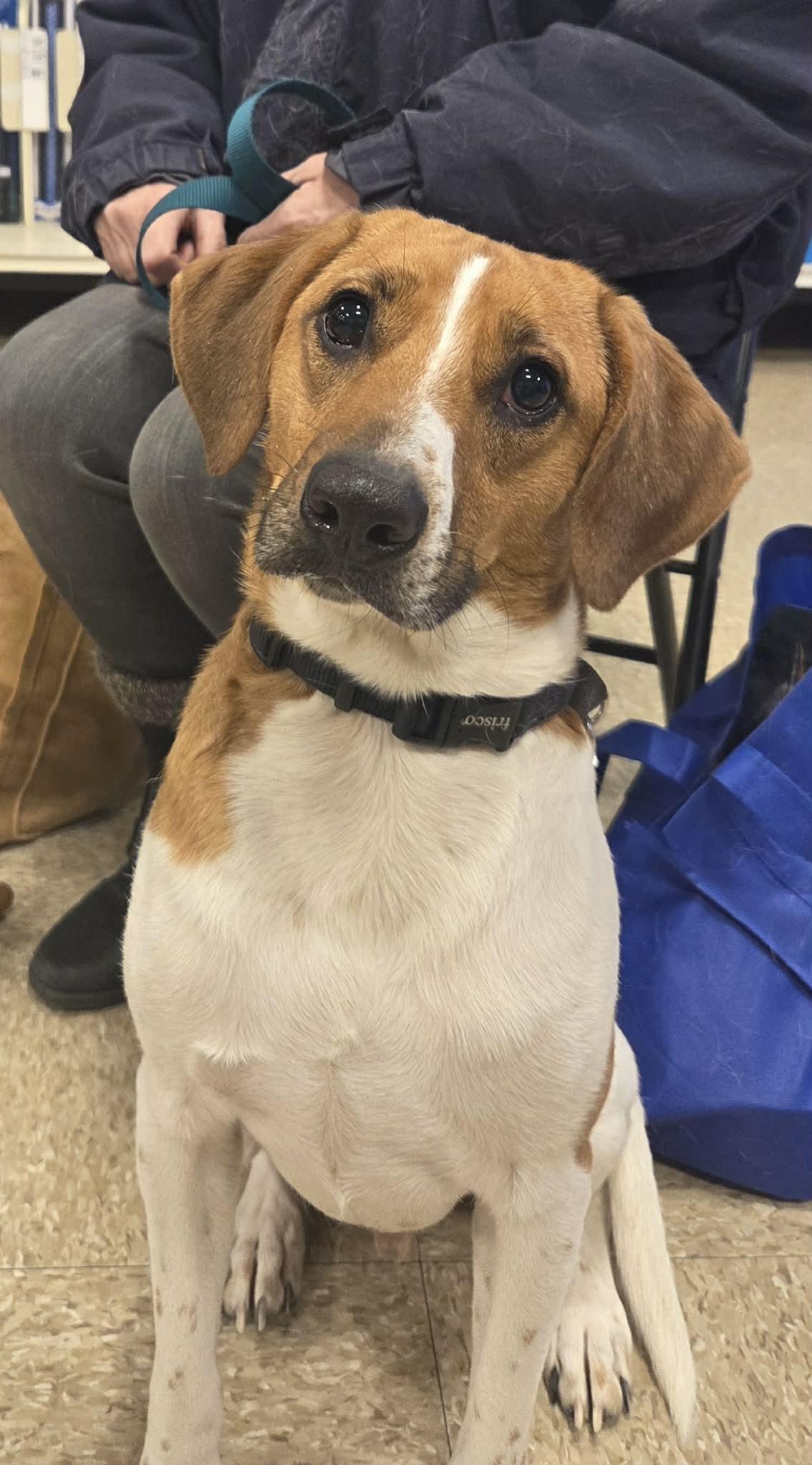 Kryptonite thumbnail 2