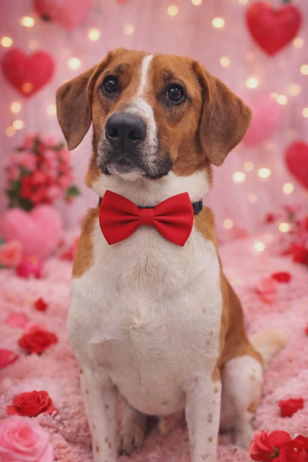 Kryptonite thumbnail 3