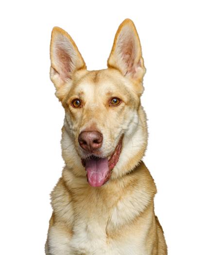 Barry — thumbnail 3