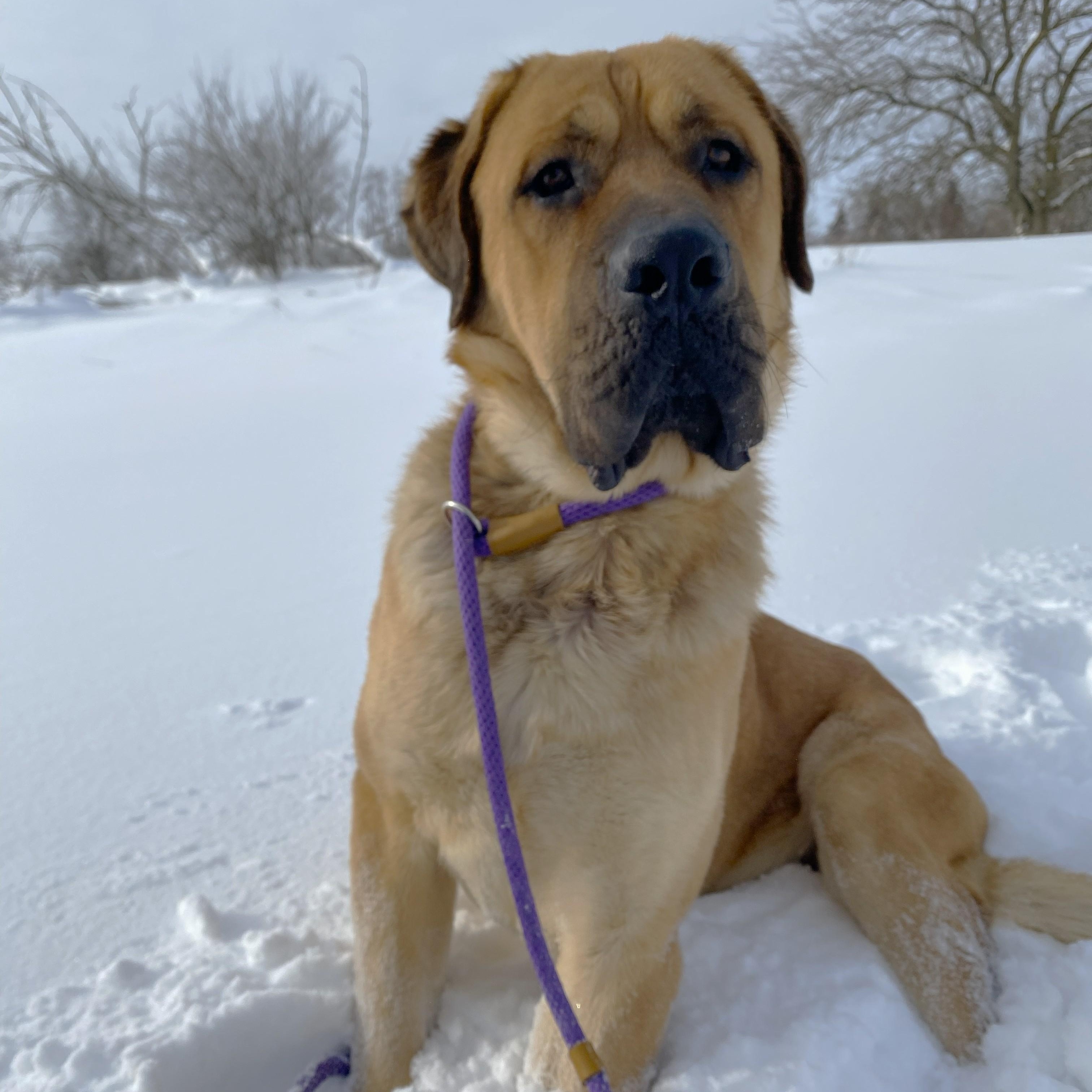 Hercules thumbnail 2