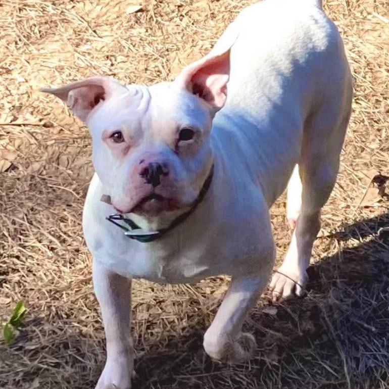 Freeway — thumbnail 2