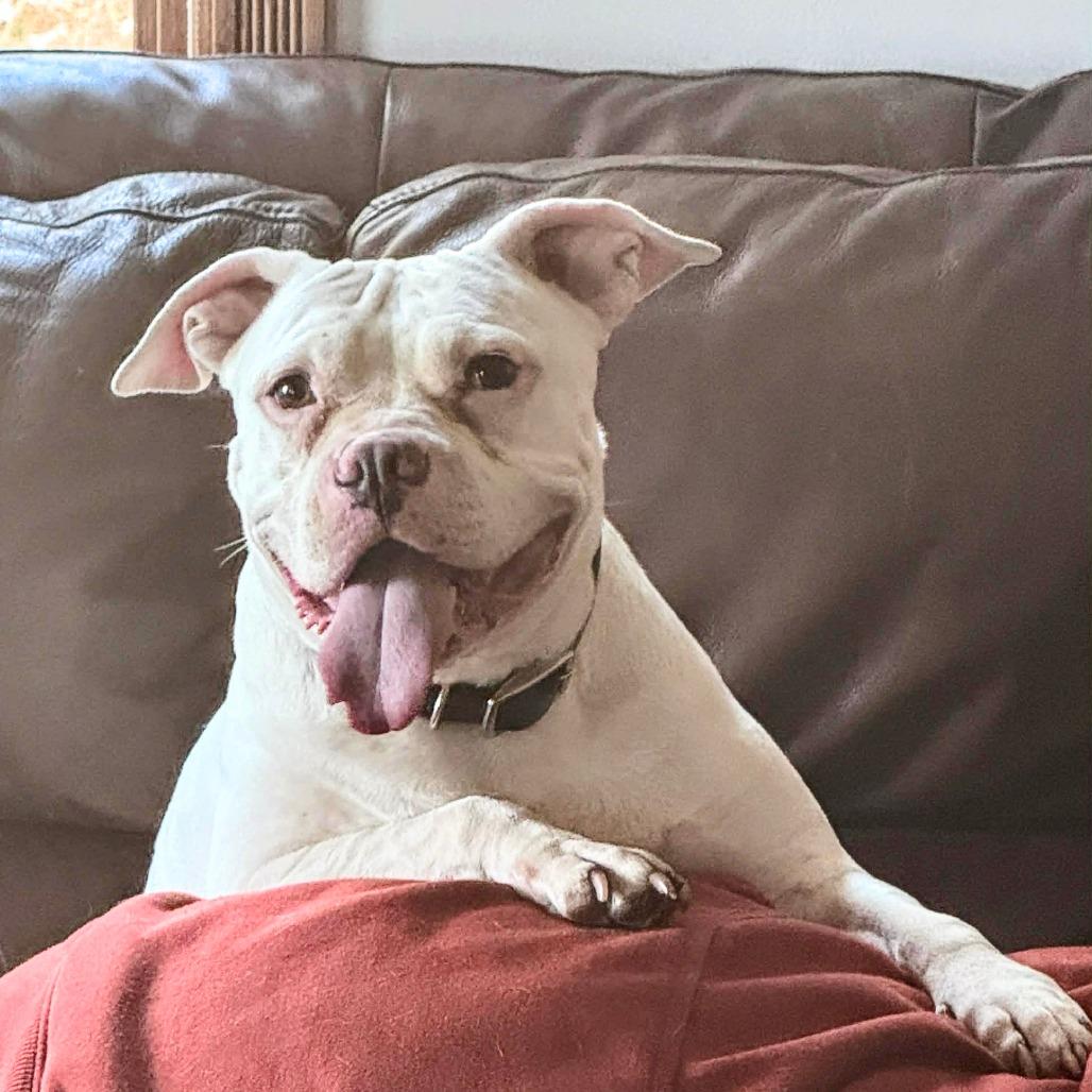 Freeway — thumbnail 3