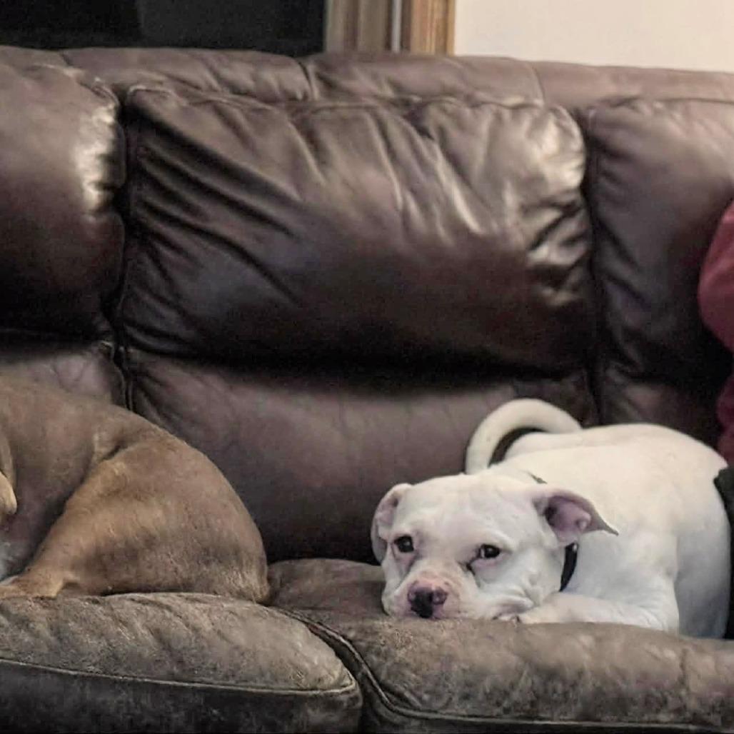 Freeway — thumbnail 4