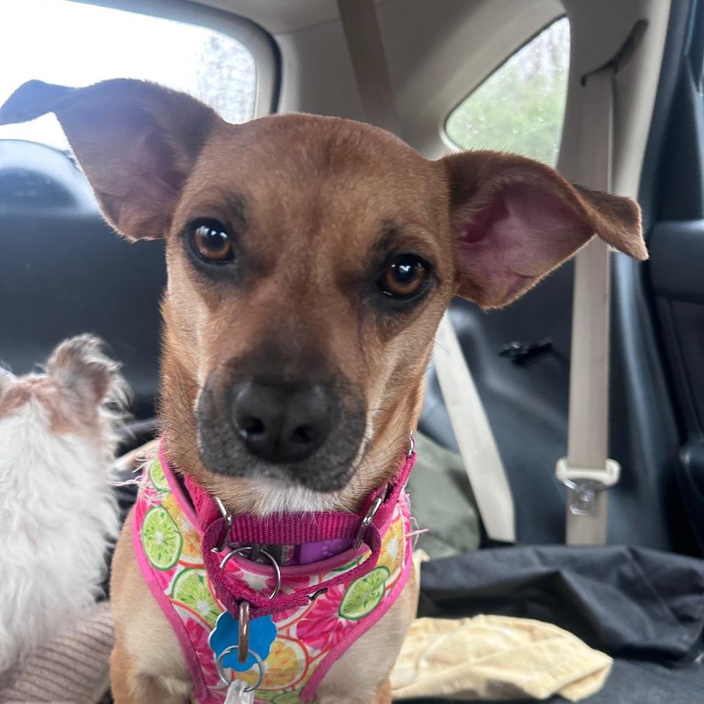 Sandy — thumbnail 2