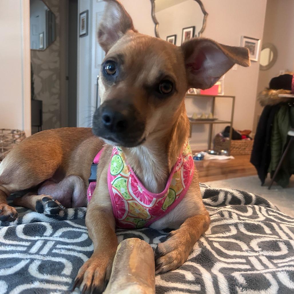 Sandy — thumbnail 6