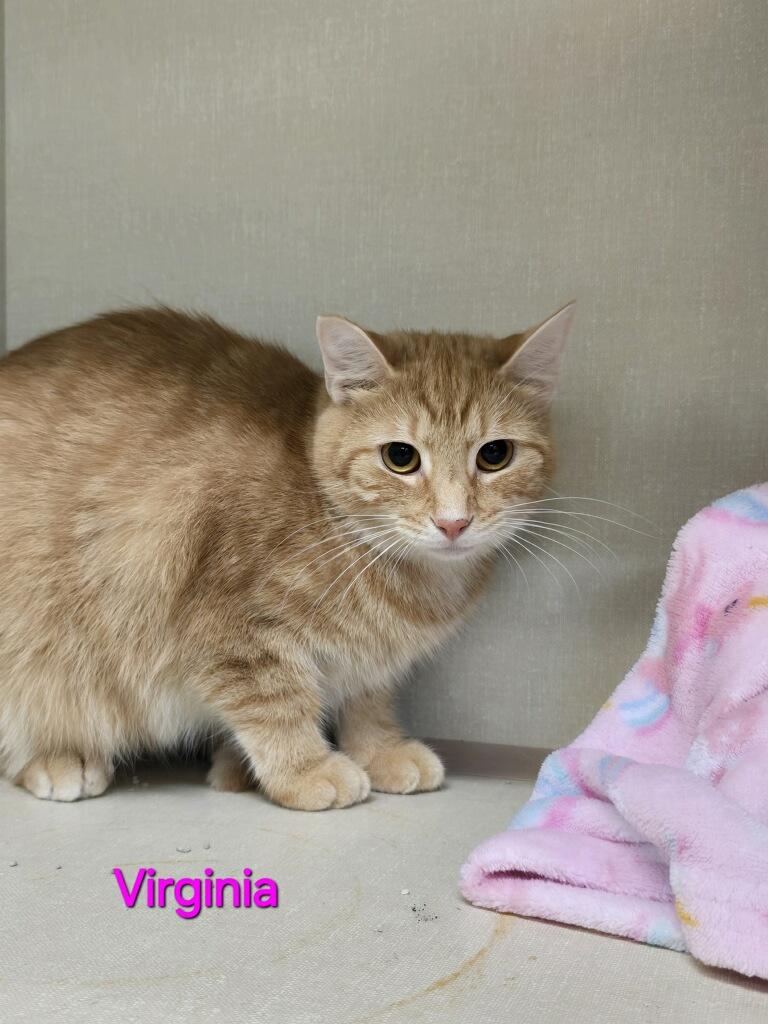 Virginia
