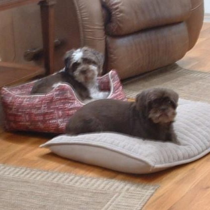 Kissie (and Goober) photo 5