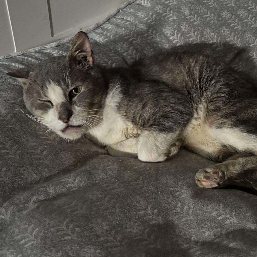 Gavin — thumbnail 4