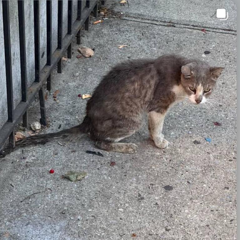 Gavin — thumbnail 6