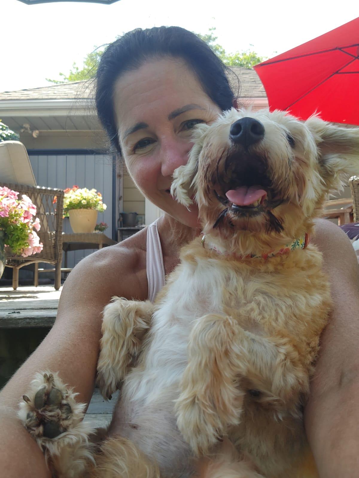 Gigi (17 lbs)