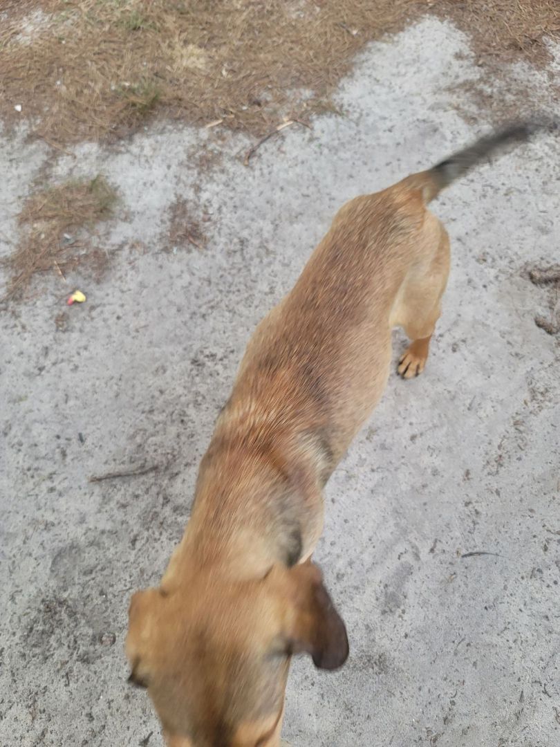 Rocko photo 3
