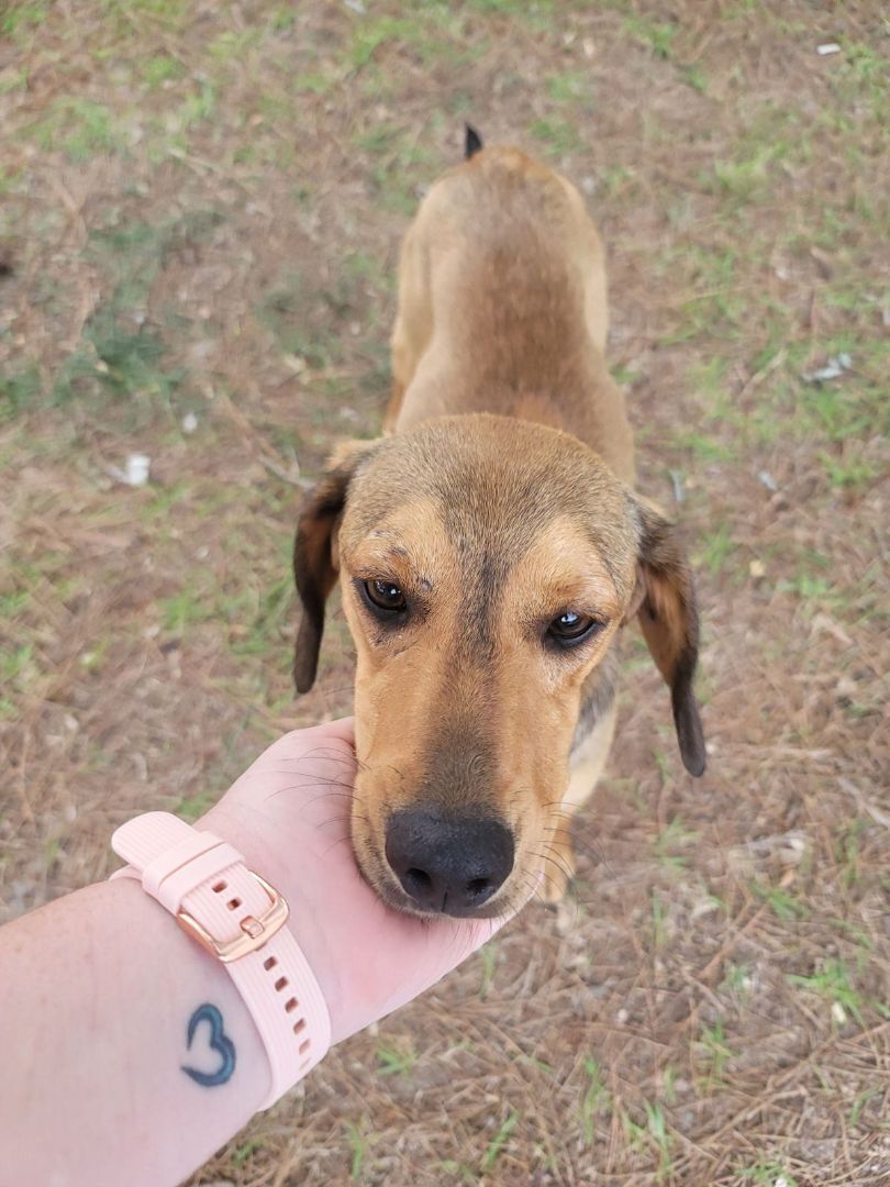Rocko photo 4