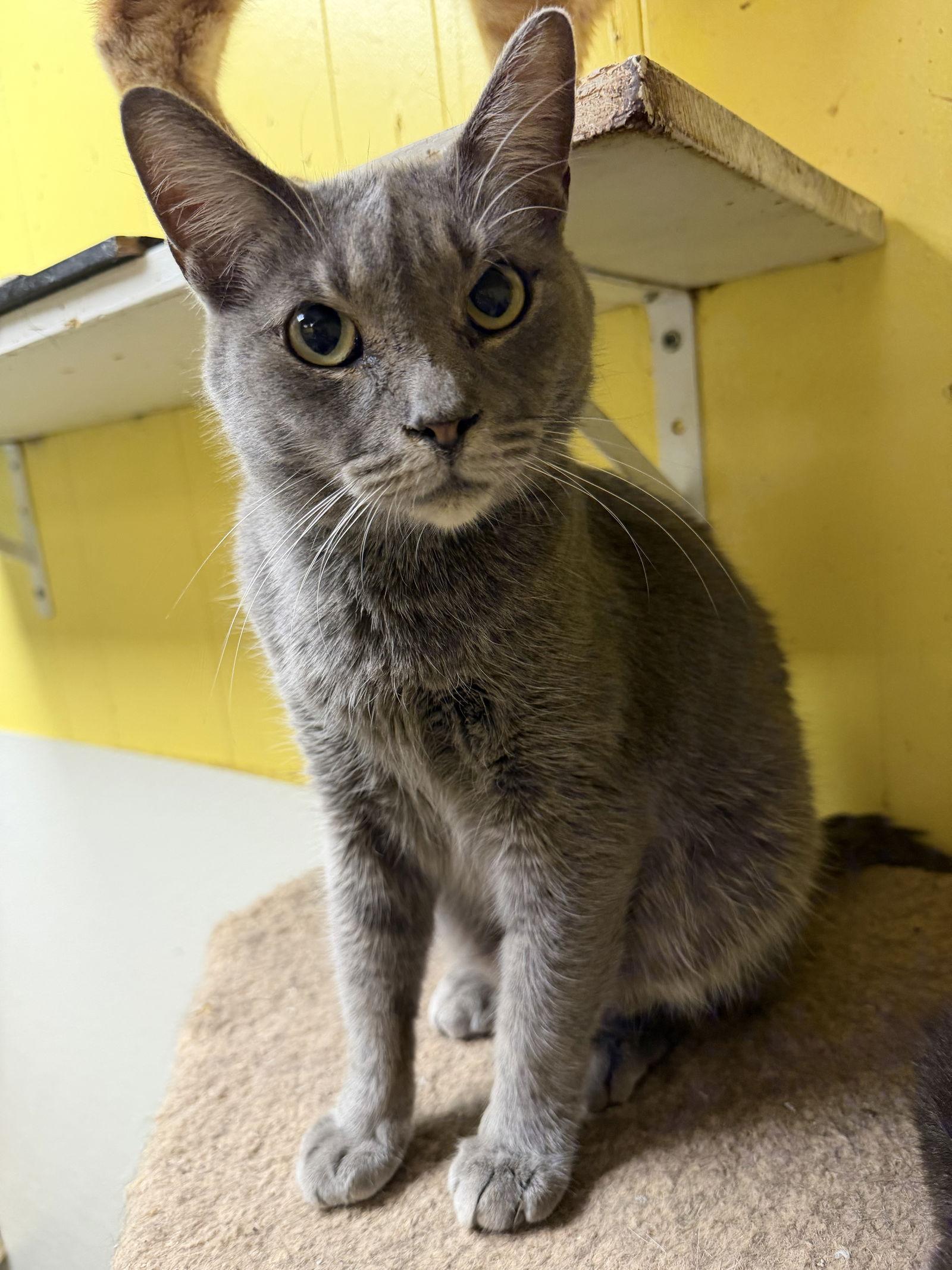 Gray Gardens — thumbnail 2